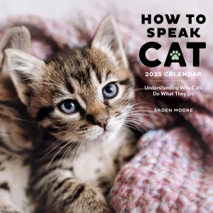 2025 How to Speak Cat Wall Calendar