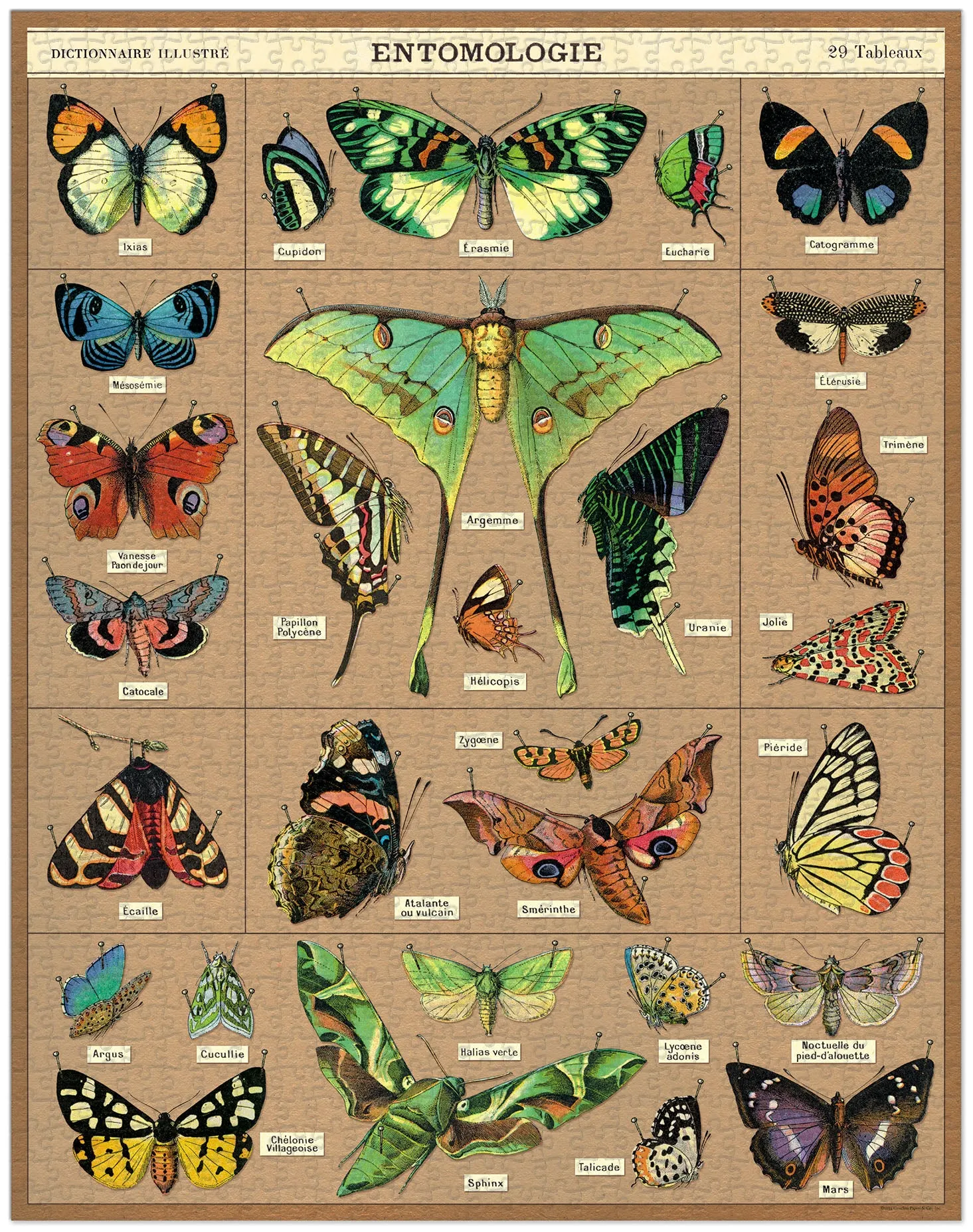 Cavallini & Co. Entomology 1000 Piece Puzzle