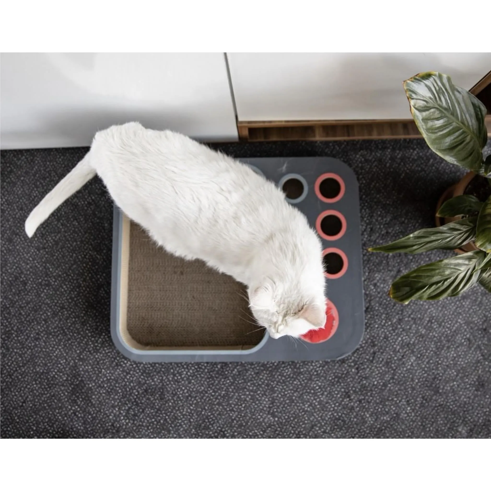 Cheerble Scratcher Maze (Grey)