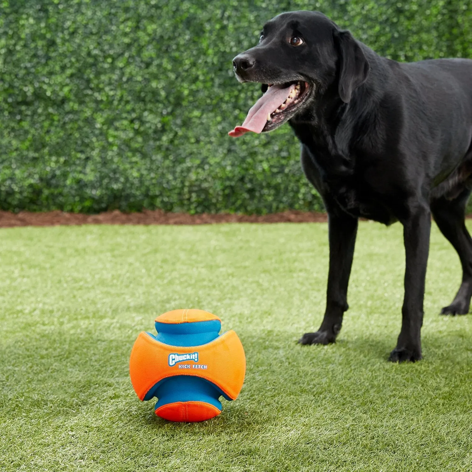 Chuckit! Dog Toy - Kick Fetch ball