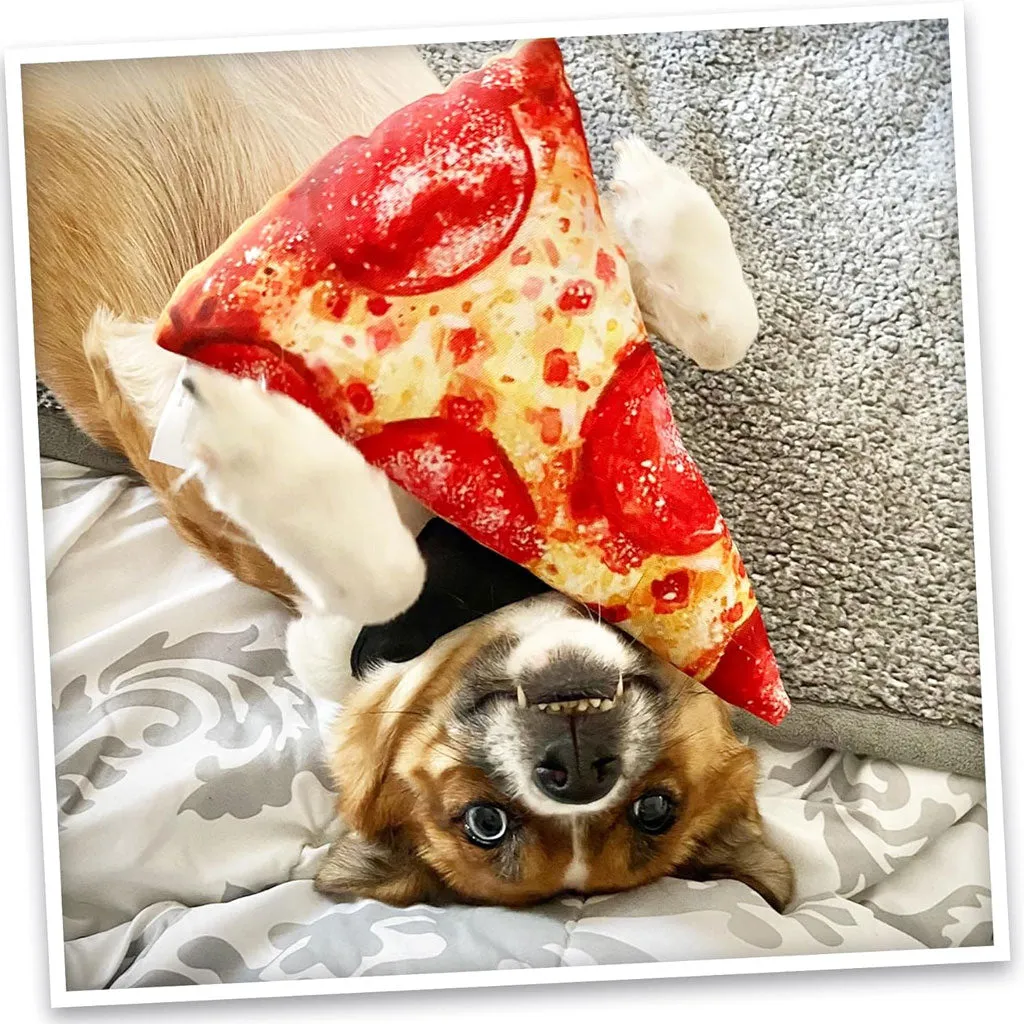 Doggijuana Get the Munchies Refillable Juananip Pizza Squeaky Plush Dog Toy, 1 count