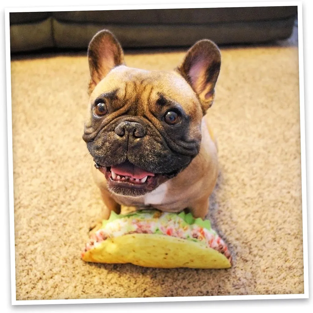 Doggijuana Get the Munchies Refillable Juananip Taco Squeaky Plush Dog Toy