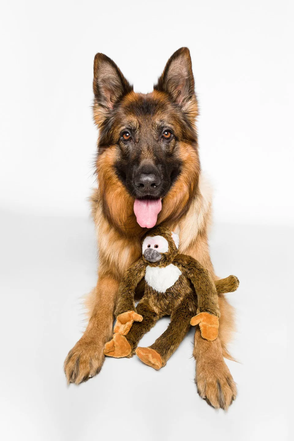 Fluff & Tuff Albert Monkey Plush Dog Toy - Wholesale