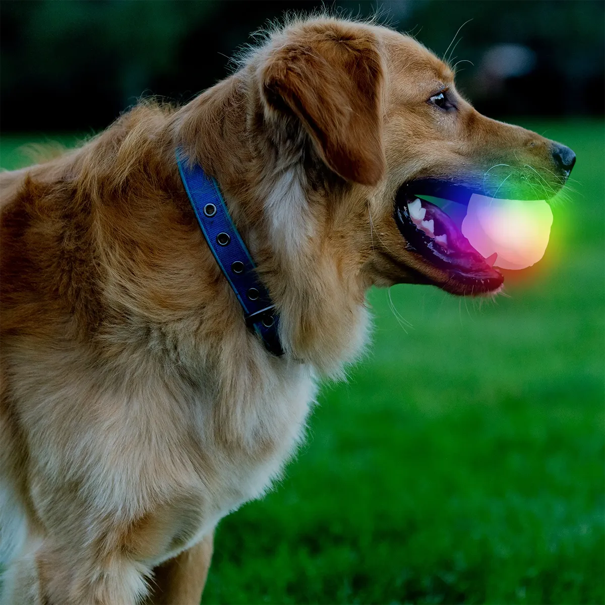 GlowStreak Wild LED Ball