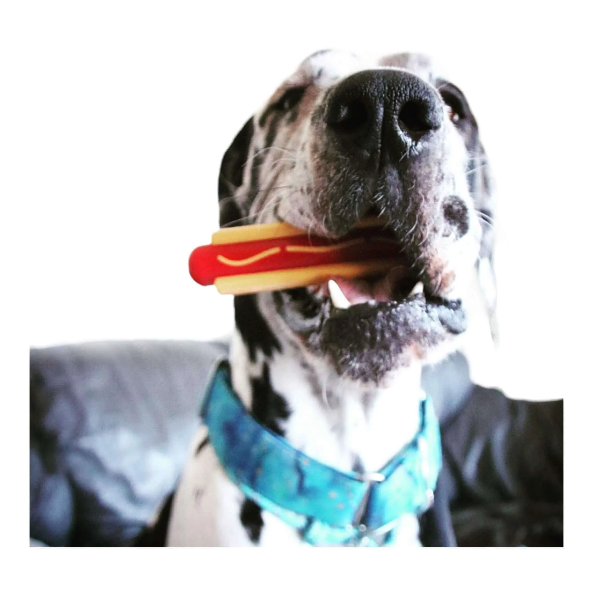 Hot Dog Power Chewer Nylon Dog Toy