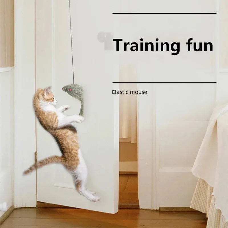 Interactive Hanging Door Cat Toy with Plush Mouse