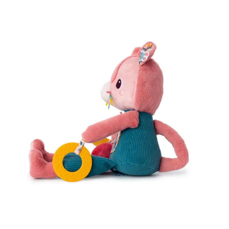 Jeanne Multi-activity cat First Toy