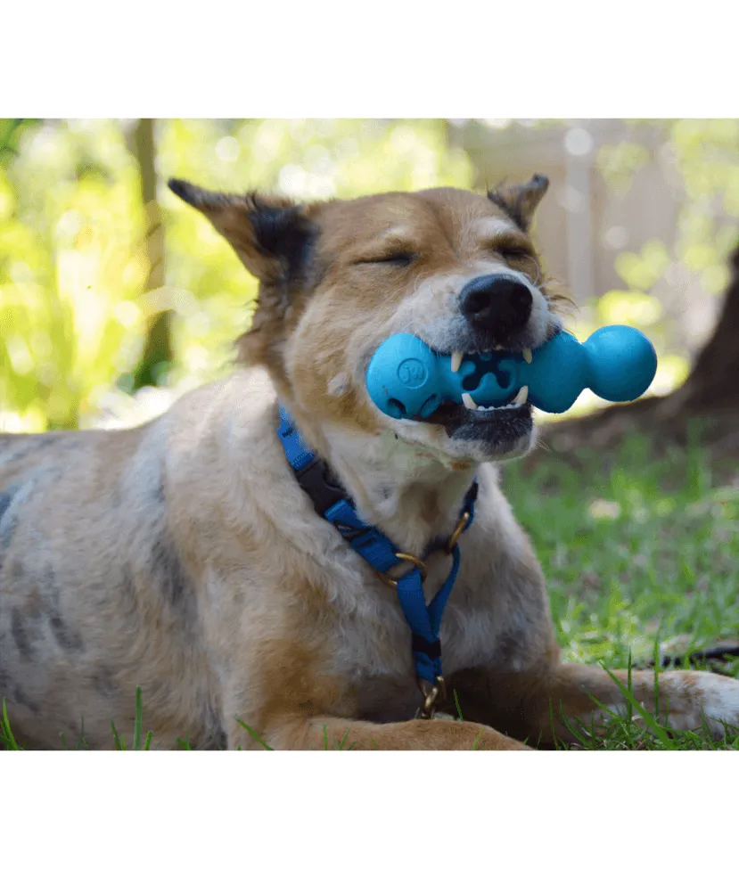 JW Playbites Caterpillar Dog Toy