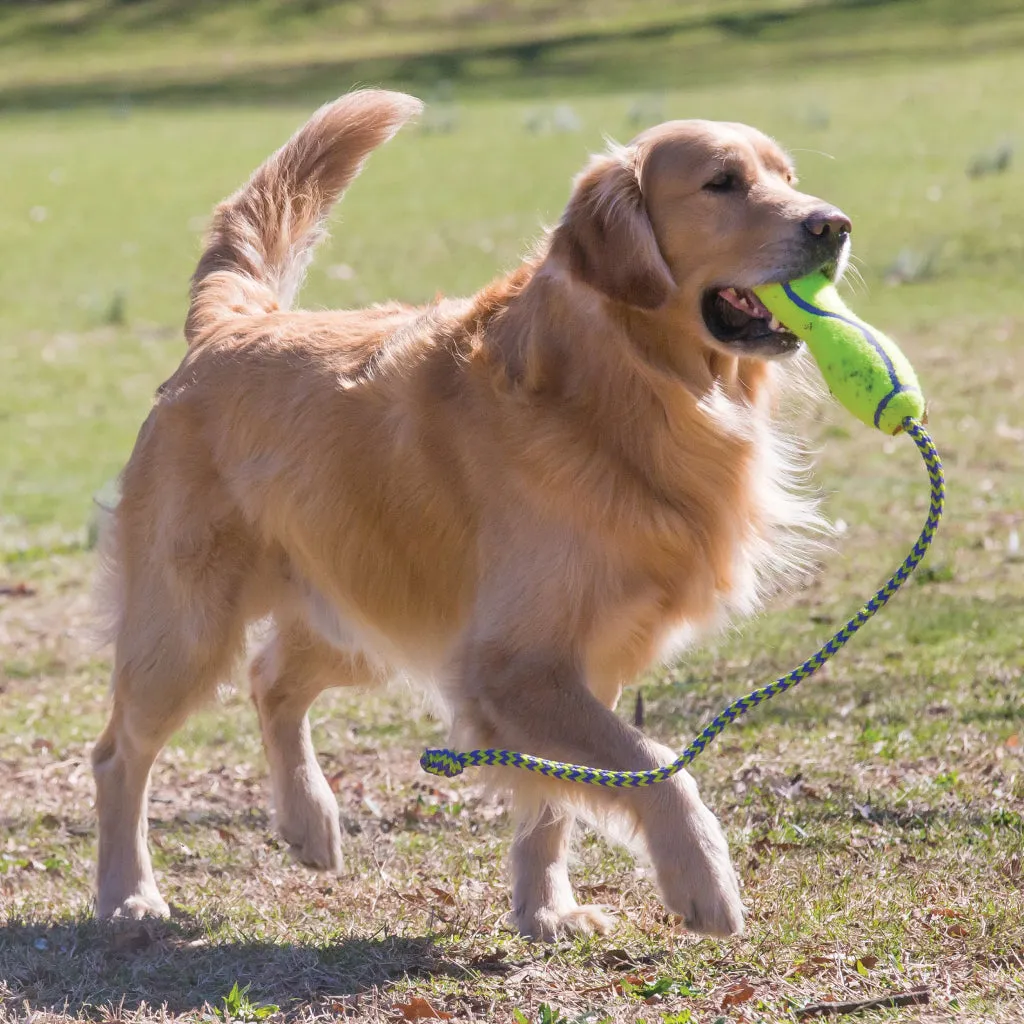 KONG Holiday AirDogs Squeaker Stick Toy For Dogs - Large