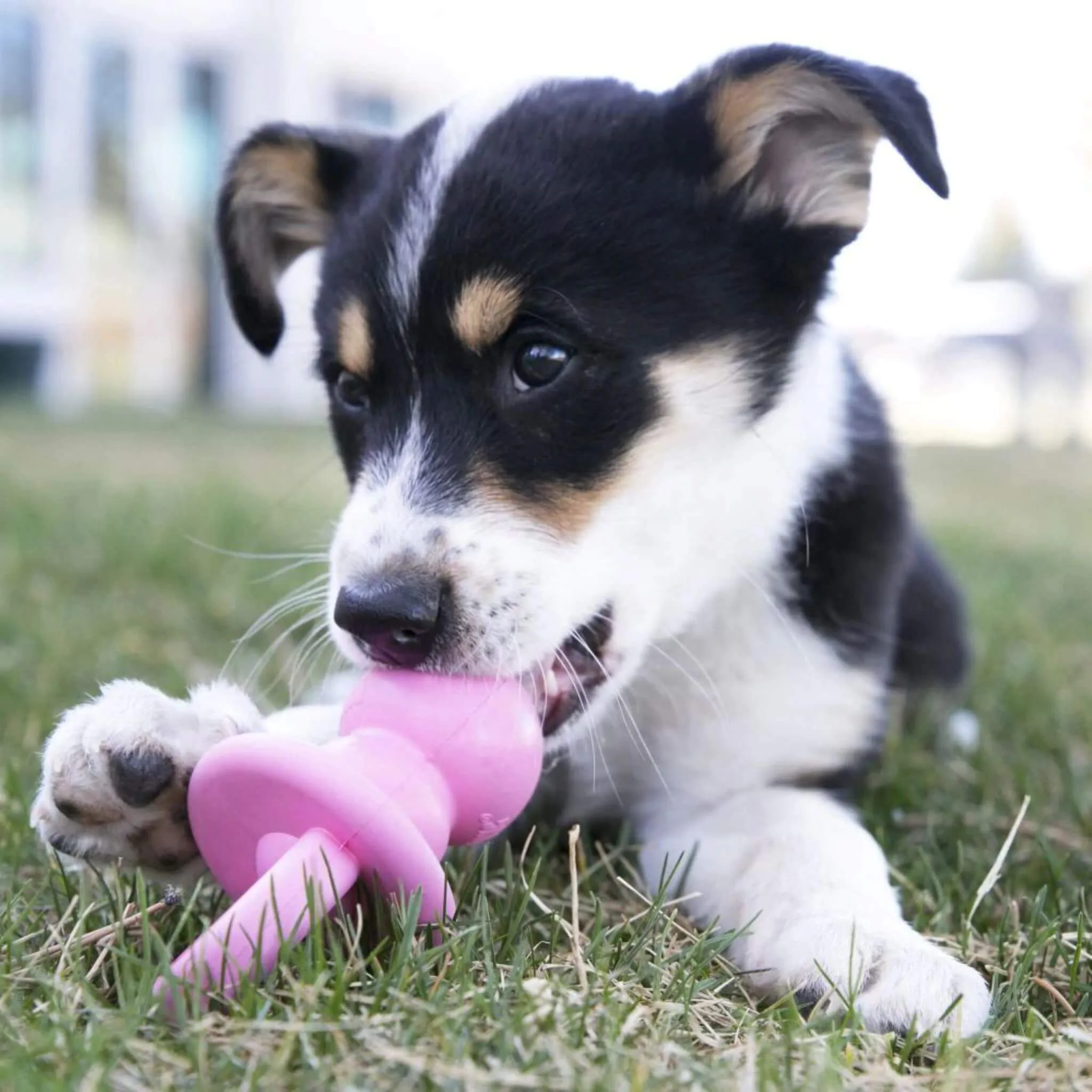 KONG Puppy Binkie - Pink