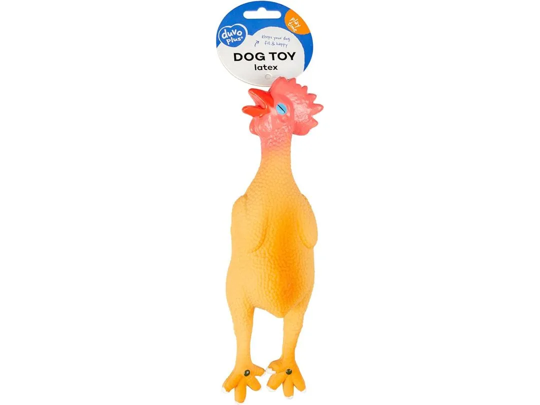 Latex Squeaky Chicken  Multicolour