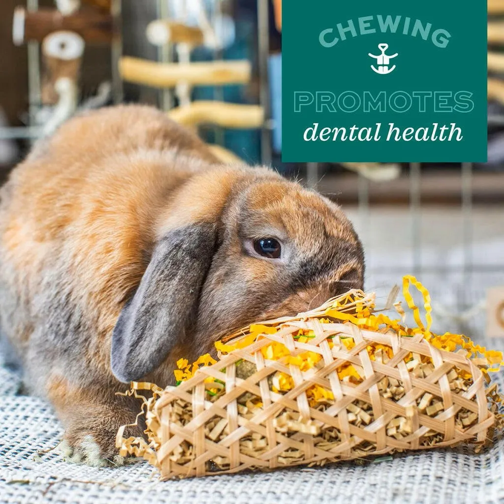 Oxbow Animal Health Enriched Life Crunchy Carrot Small Animal Chew Toy