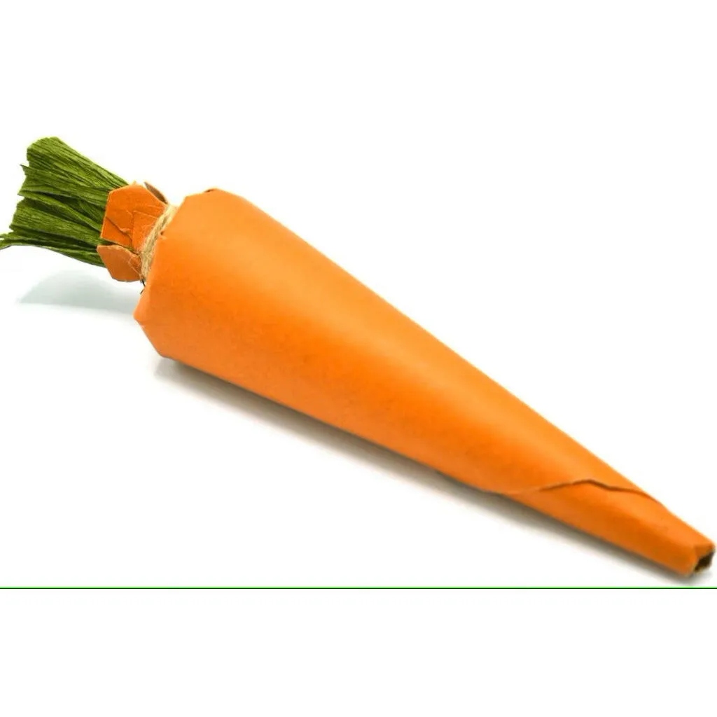 Oxbow Animal Health Enriched Life Crunchy Carrot Small Animal Chew Toy