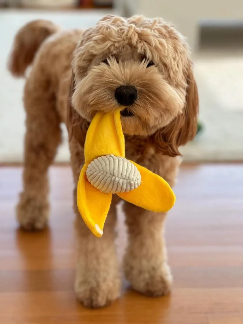 PEELABLE BANANA INTERACTIVE DOG TOY