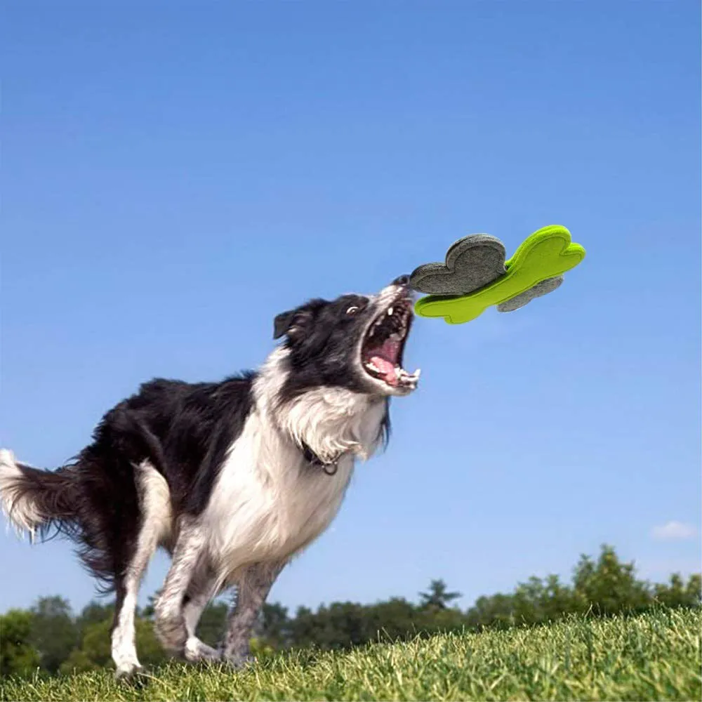 Pet Frisbee