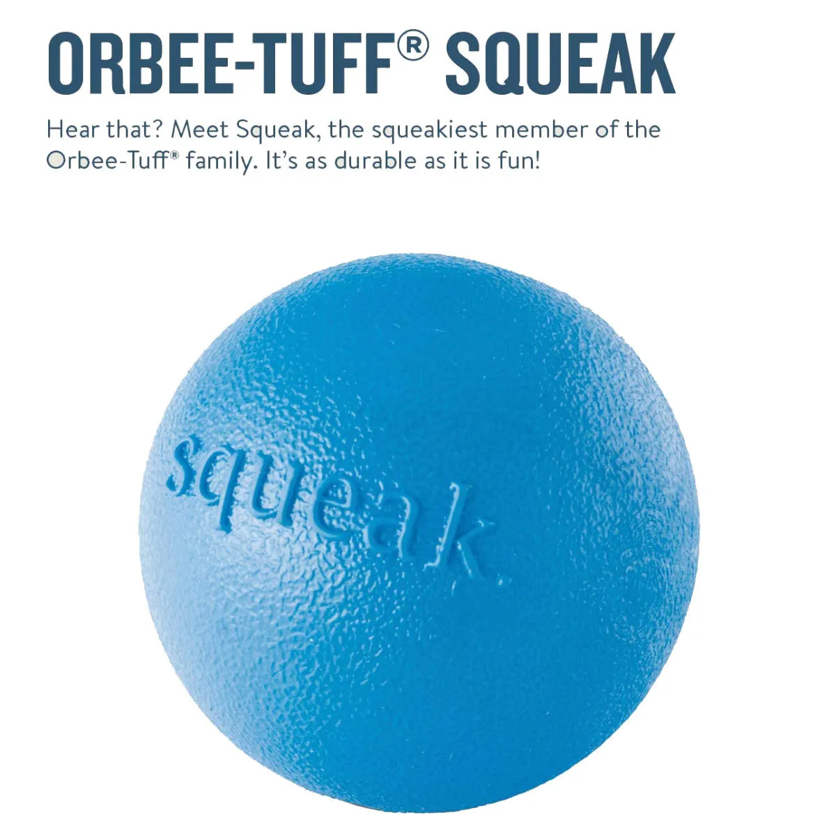 Planet Dog Orbee Squeak