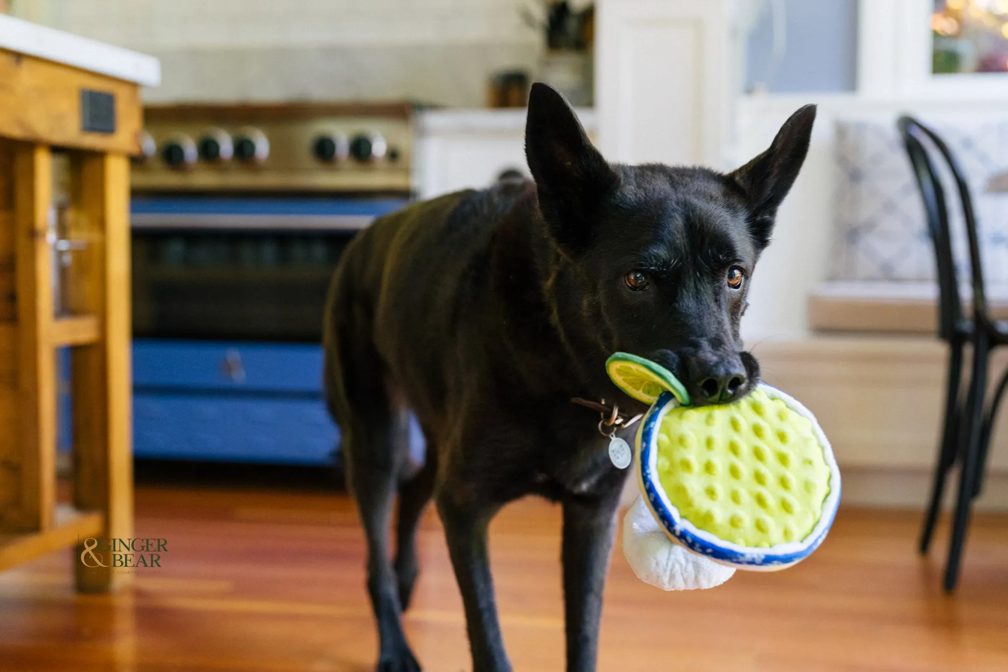 P.L.A.Y. Barktender Squeaky Plush Dog toys, Pup-arita