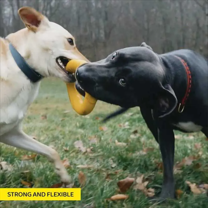 Power Duo Dog Toy Set