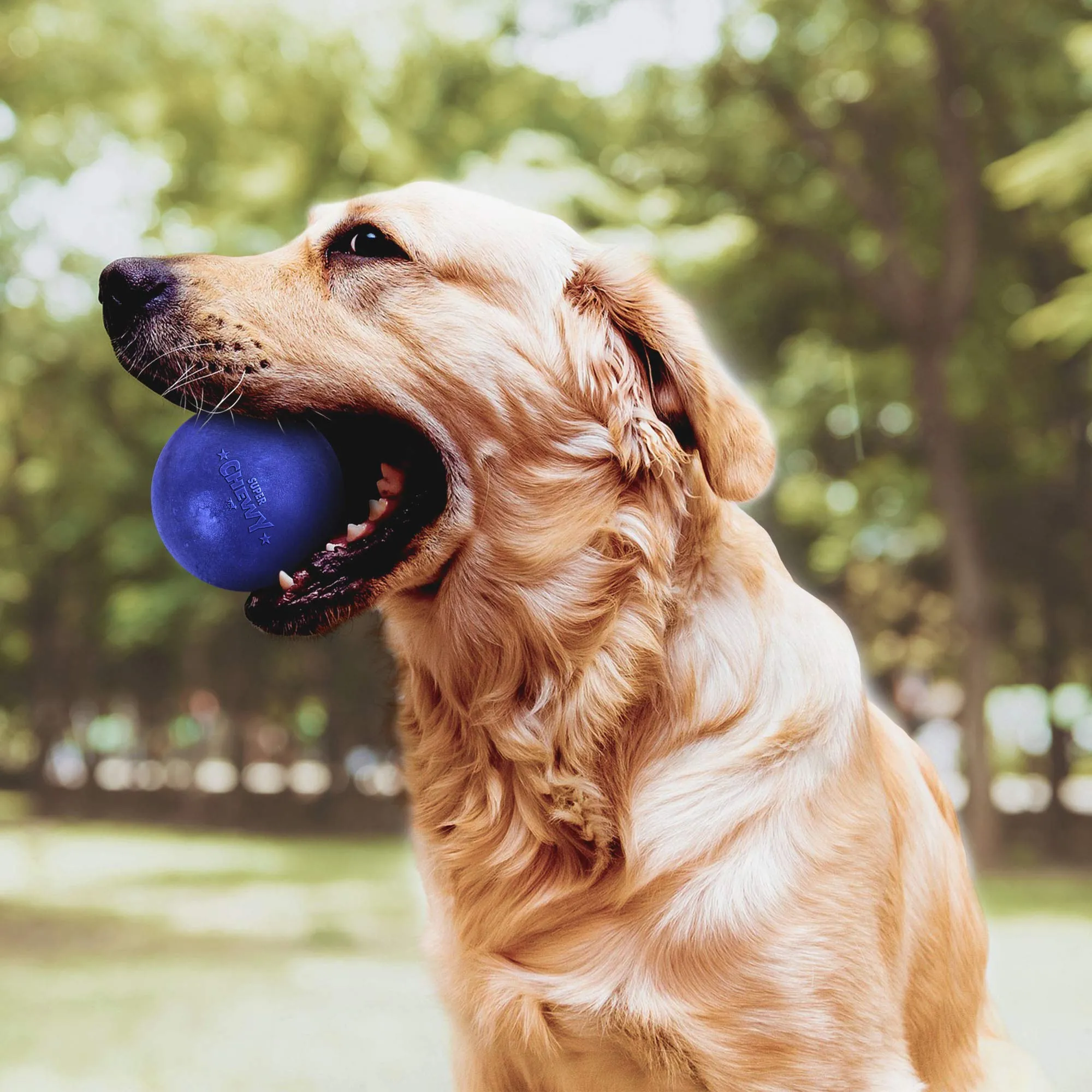 Ruff Dawg Indestructible Ball