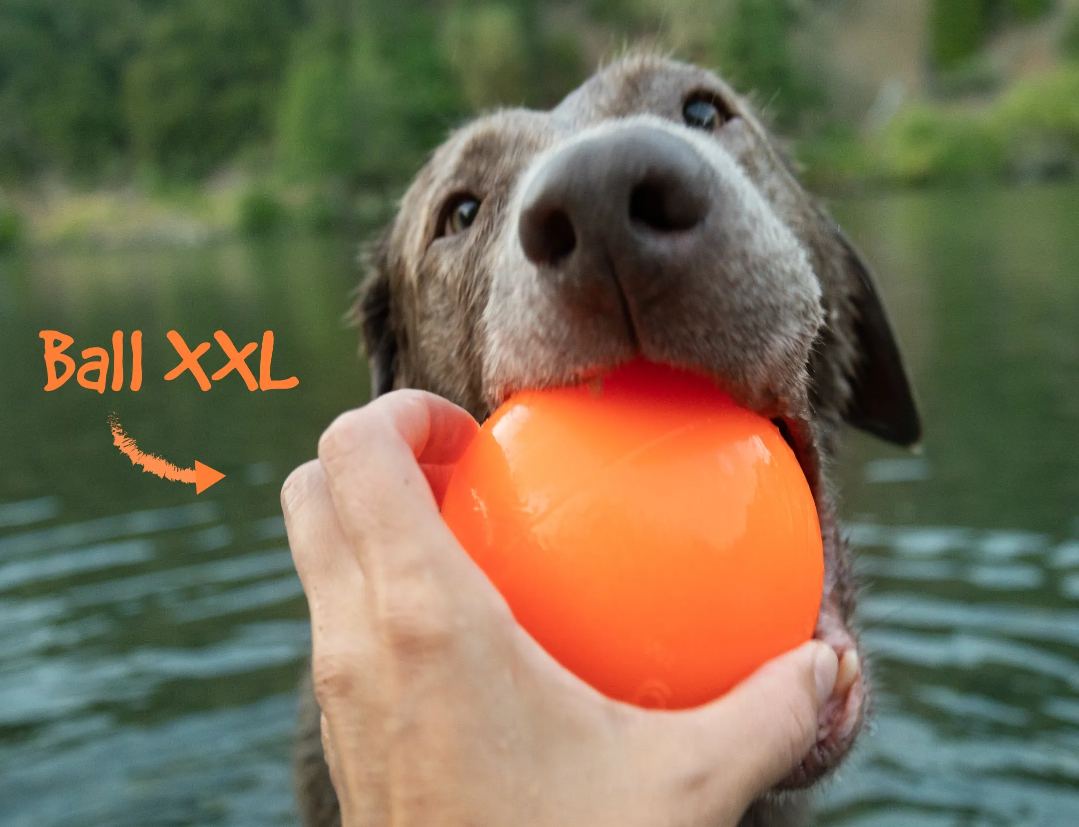 Ruff Dawg Indestructible Ball