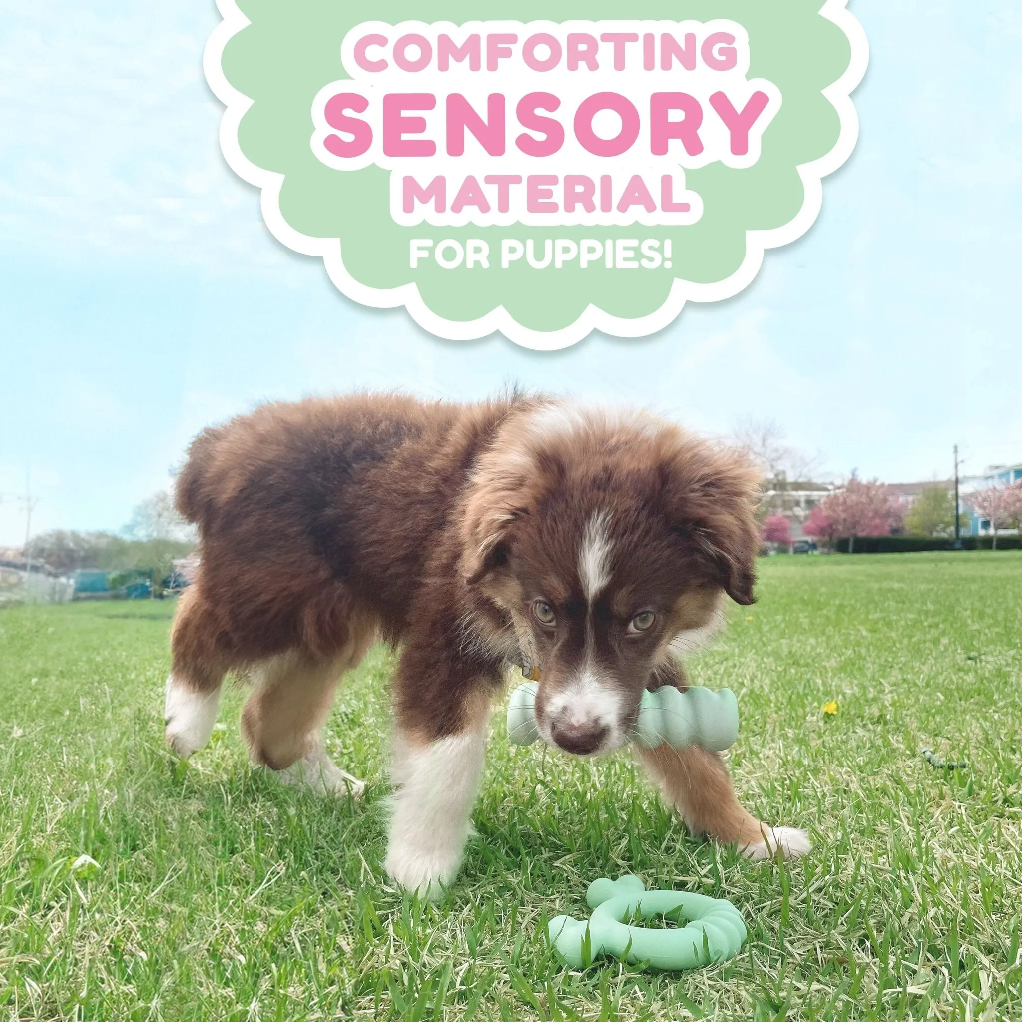 Sensory Material Puppy Teething Ring, Chicken, Small/Regular, Up to 25 Ibs