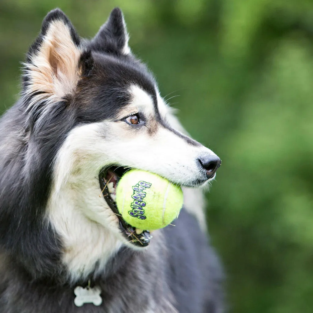 Shop Kong Squeakair Ball with Rope Dog Fetch Toy (Medium)