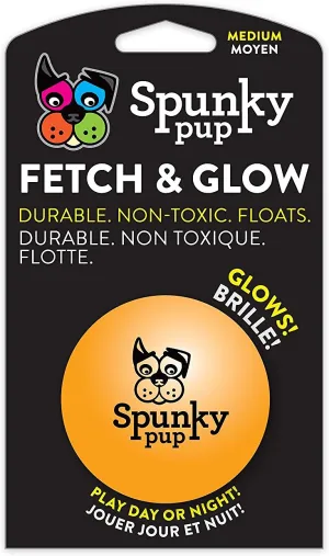 Spunky Pup Fetch & Glow Ball Dog Toy