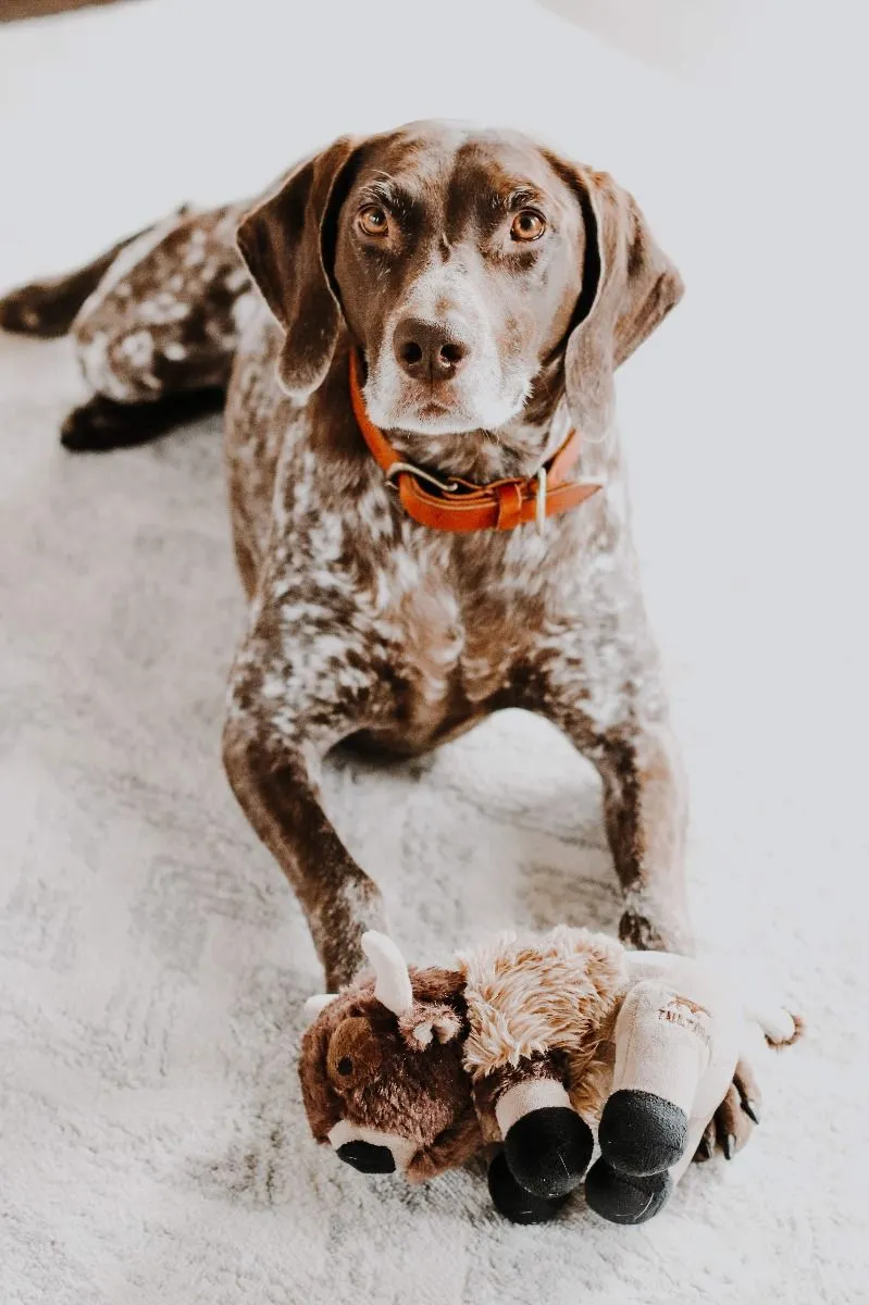 Squeaky Plush Dog Toy: Buffalo