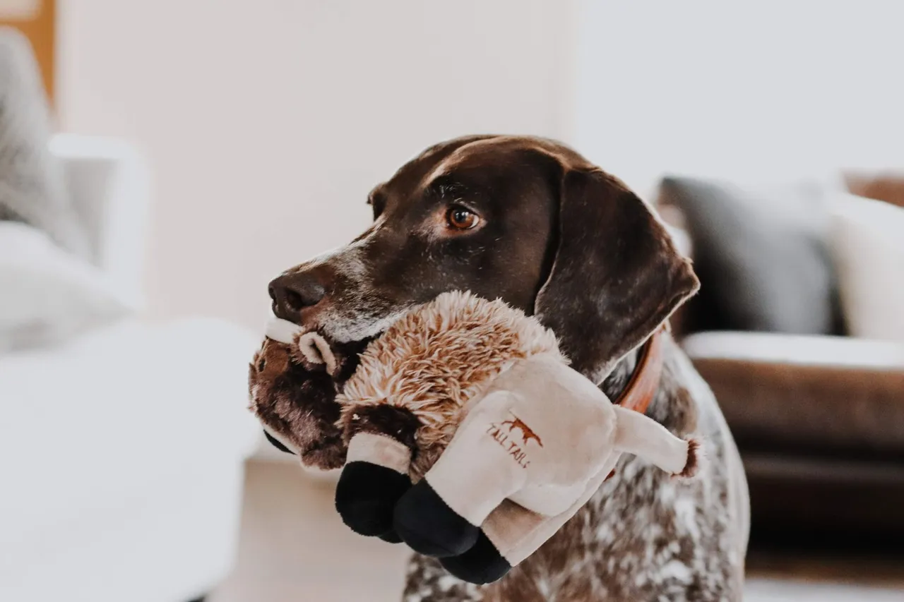 Squeaky Plush Dog Toy: Buffalo