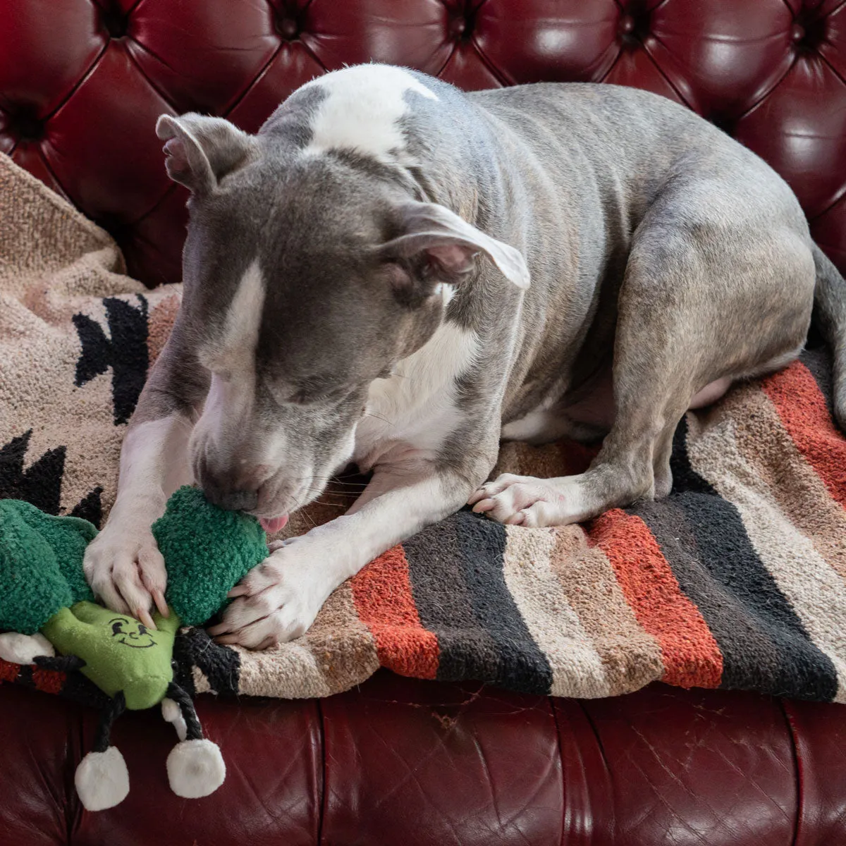 The "Eat Your Greens" Broccoli Interactive Dog Toy with Treat Pockets, Mental Stimulation Dog Toy