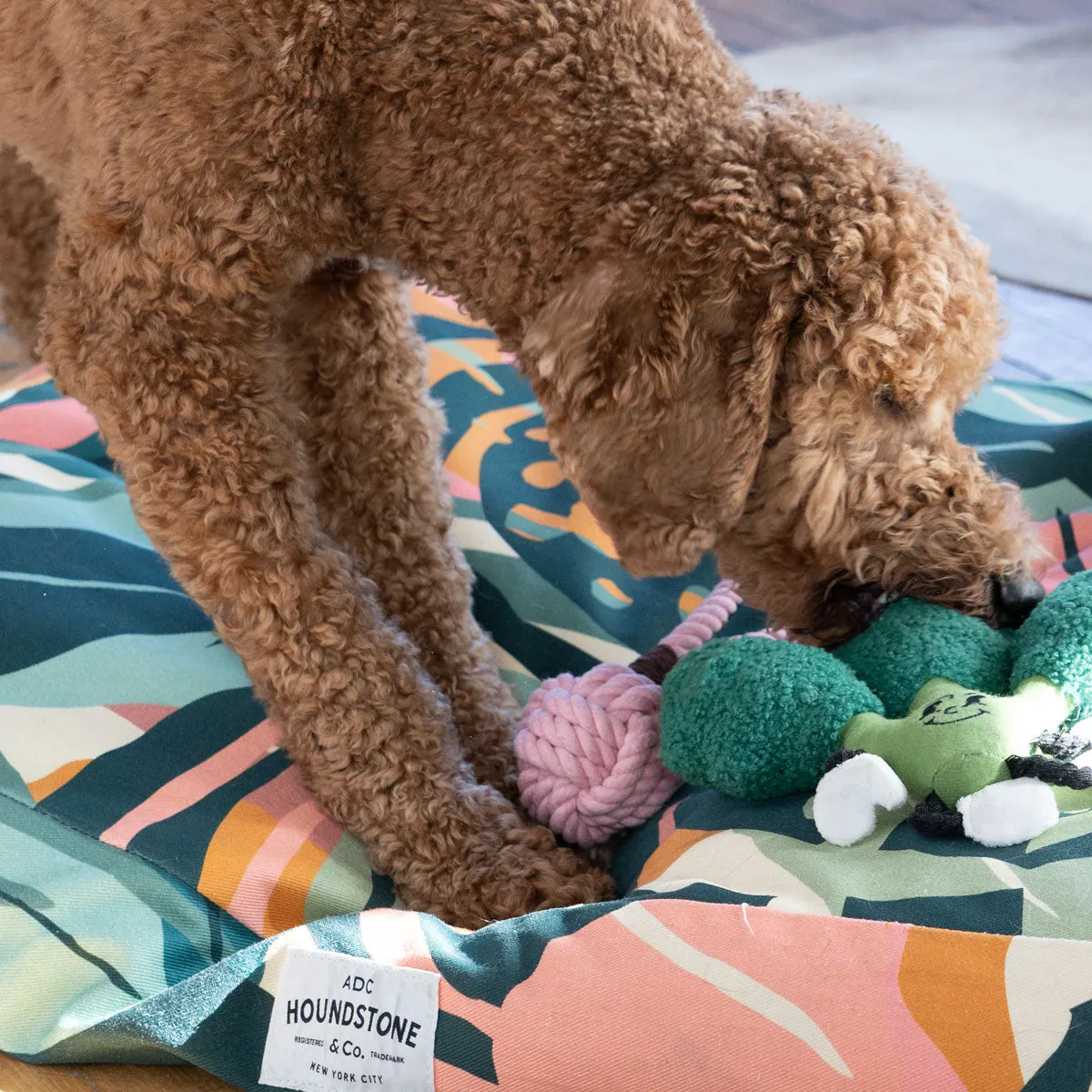 The "Eat Your Greens" Broccoli Interactive Dog Toy with Treat Pockets, Mental Stimulation Dog Toy