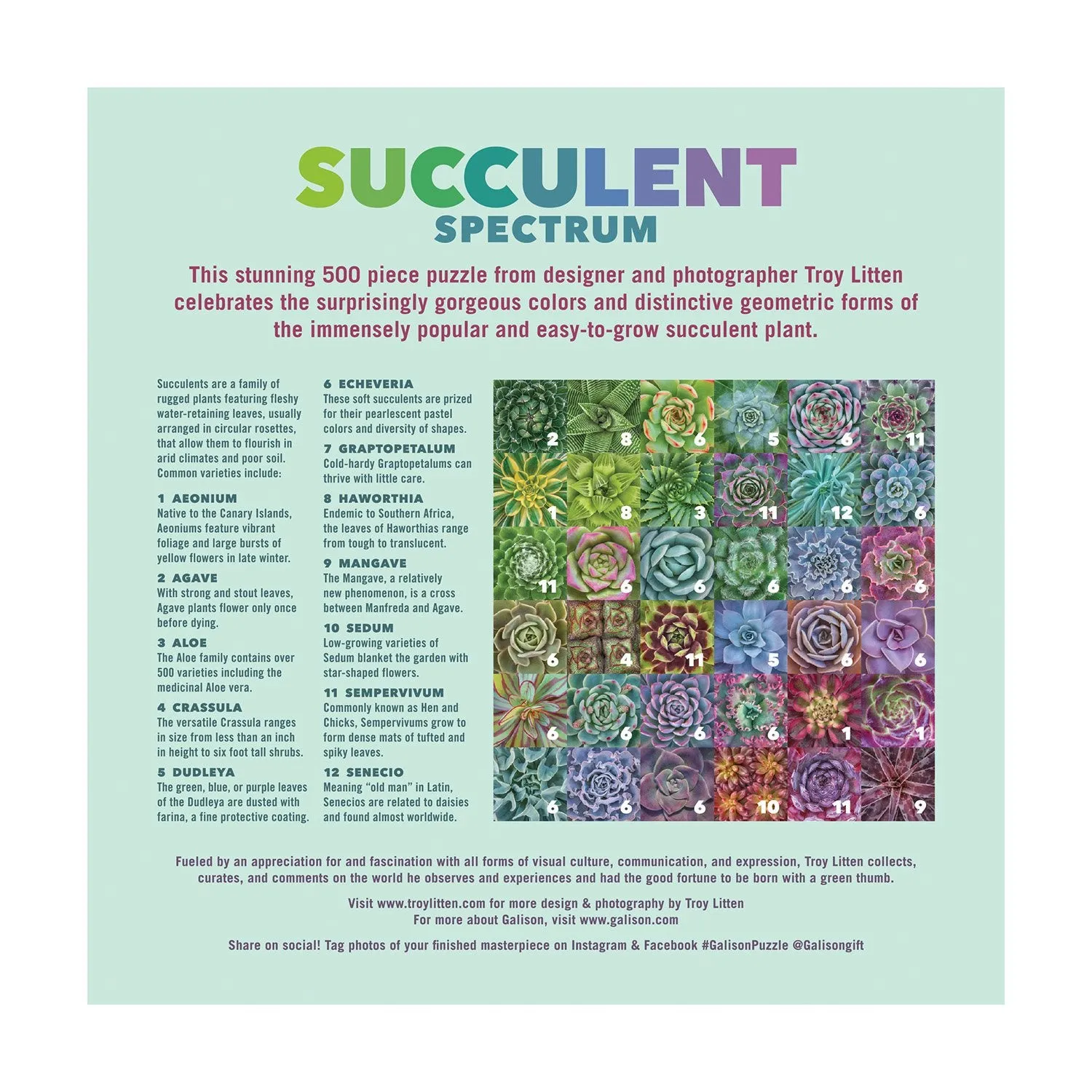 Troy Litten Succulent Spectrum 500 Piece Jigsaw Puzzle