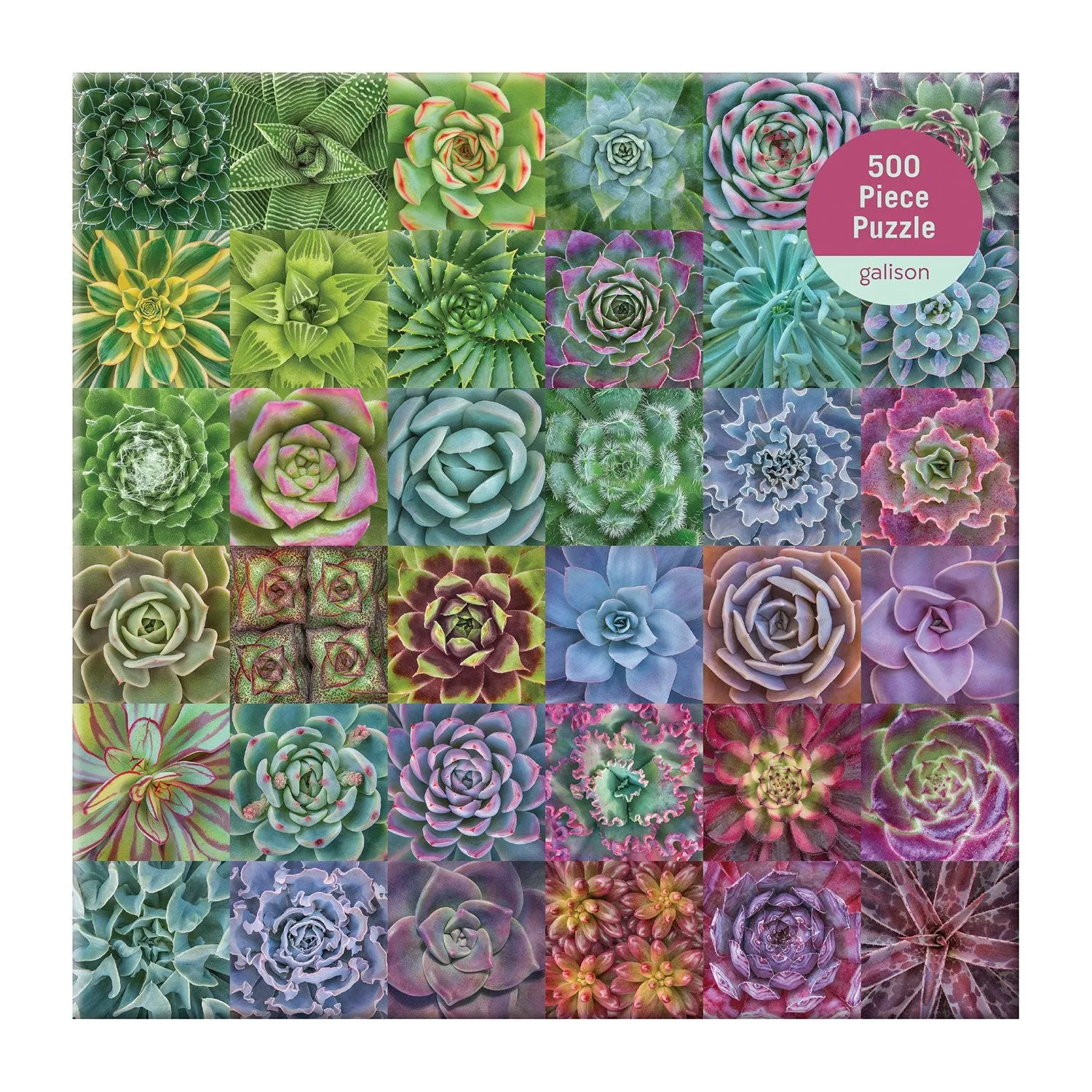 Troy Litten Succulent Spectrum 500 Piece Jigsaw Puzzle