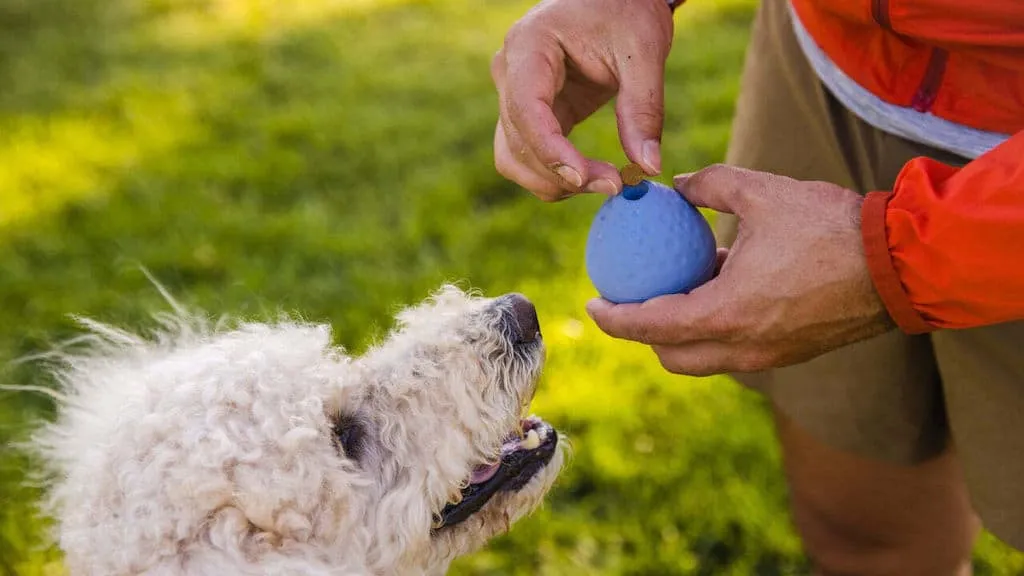 TurnUp Dog Toy - Durable, Tennis Ball Size