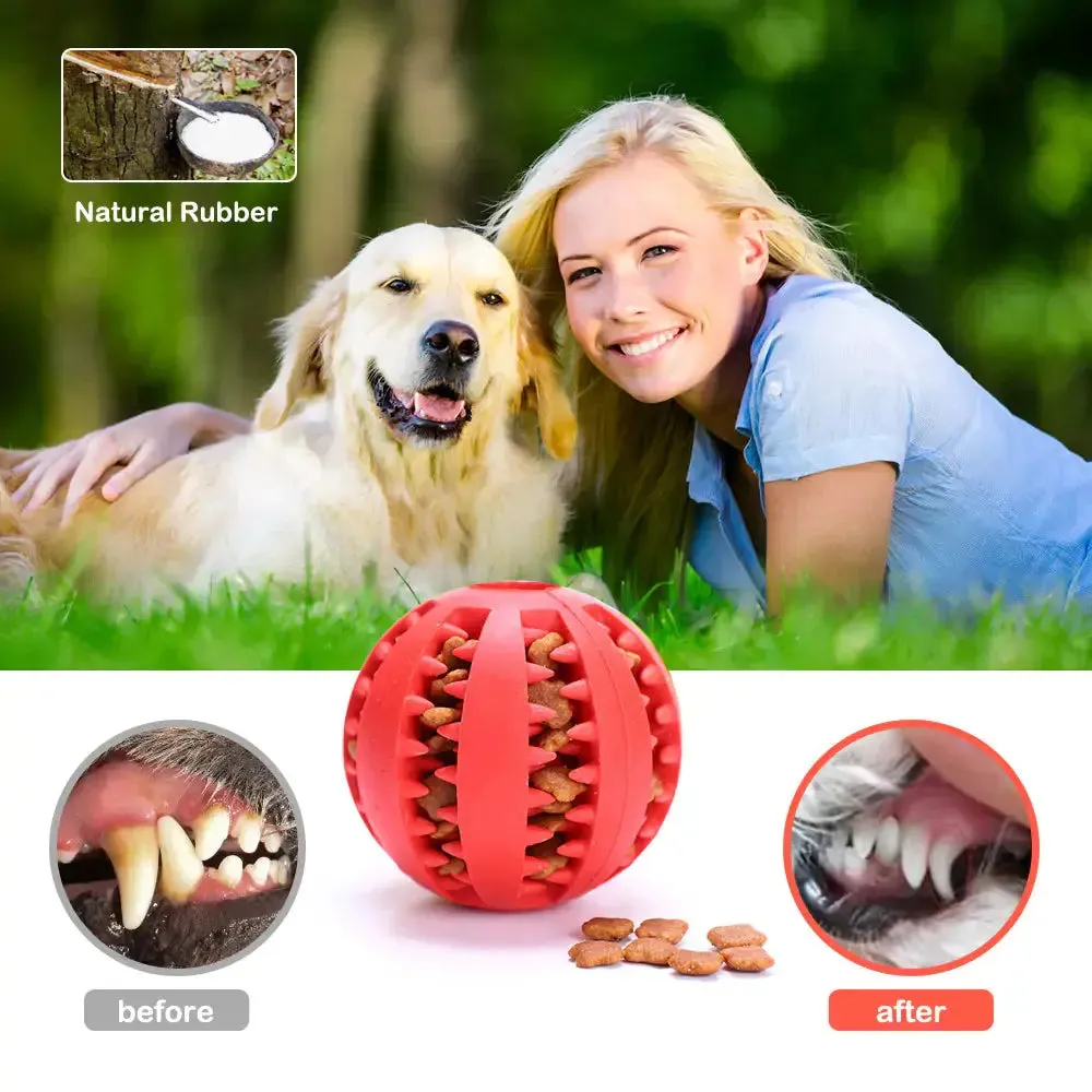 Watermelon Ball Dog Chew Toy