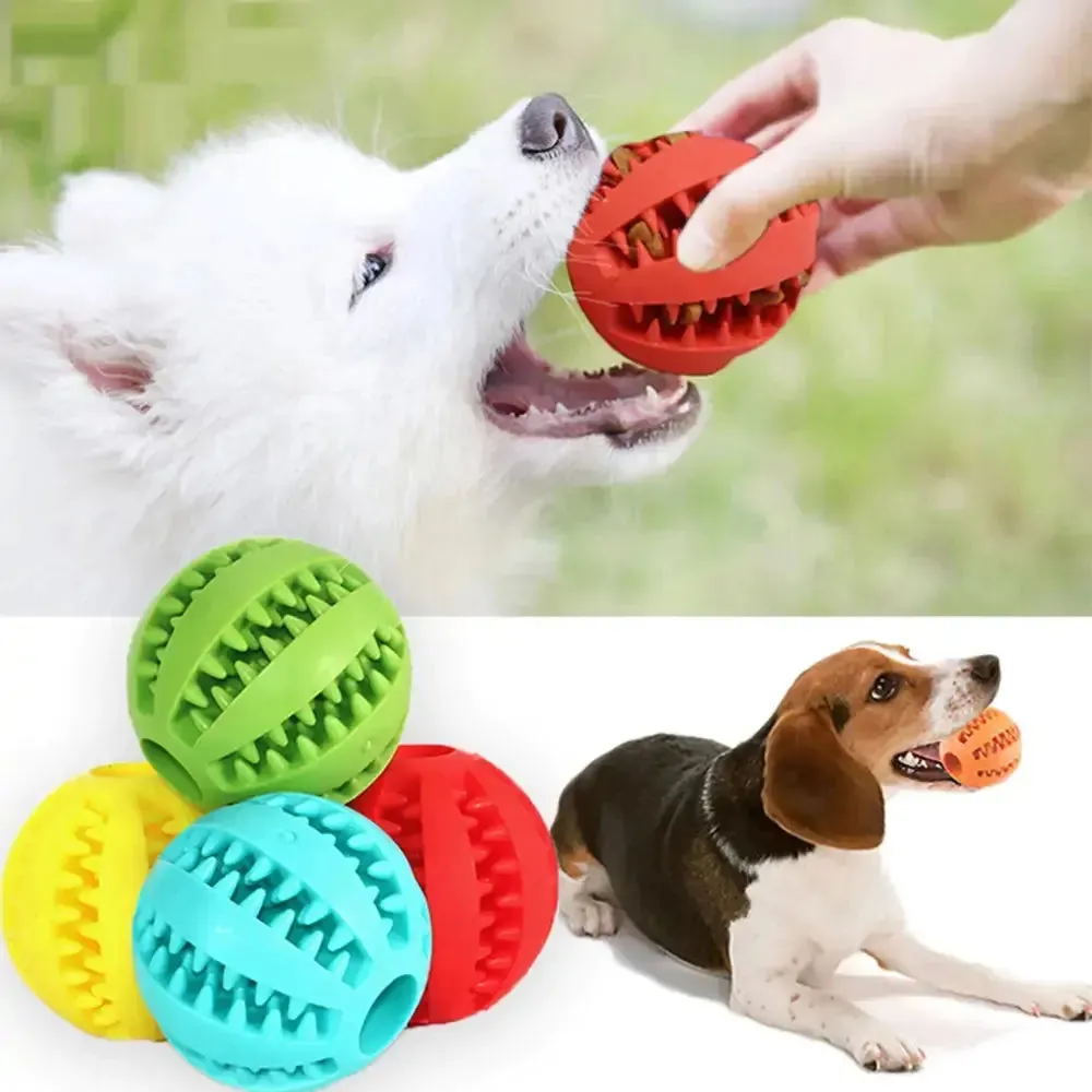 Watermelon Ball Dog Chew Toy