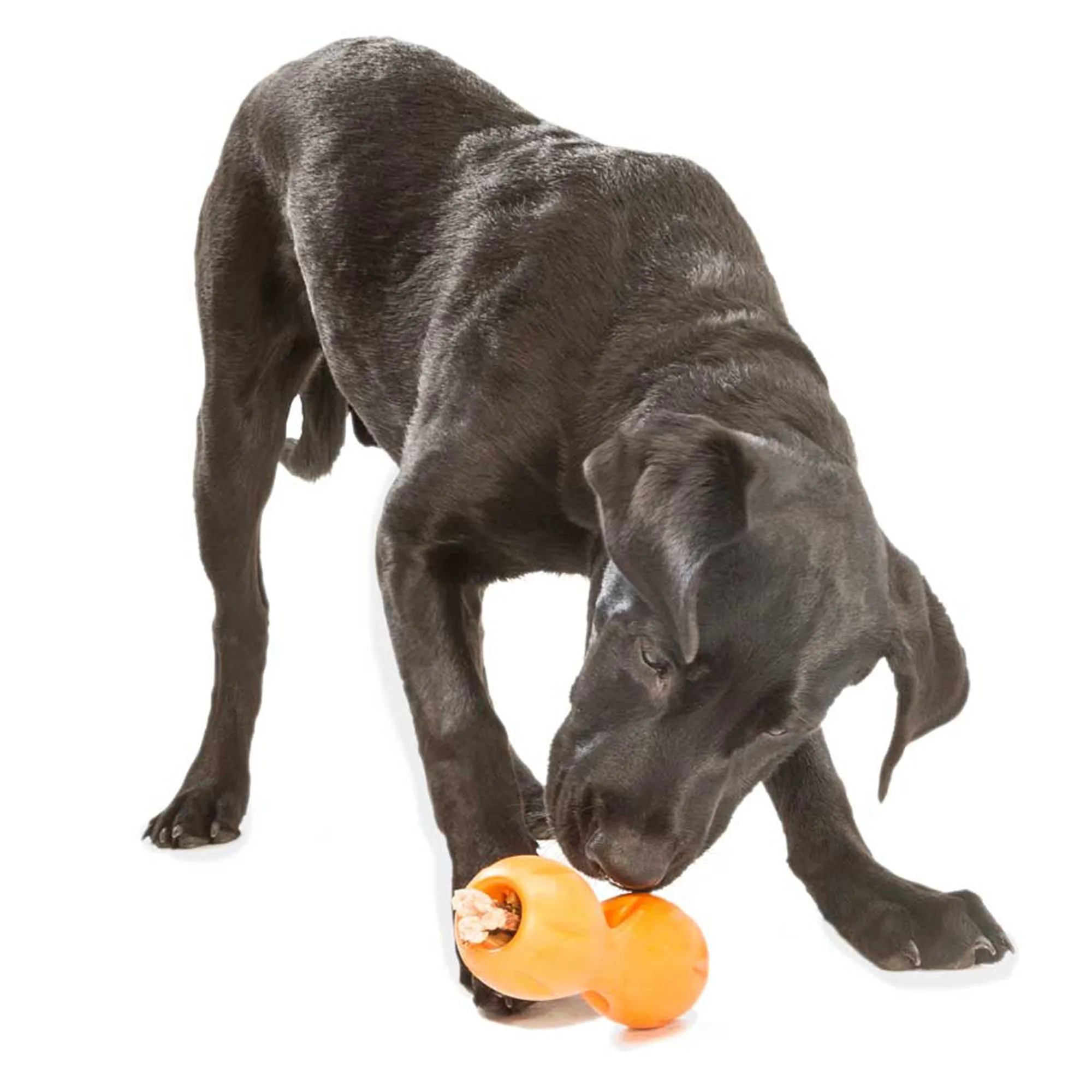 West Paw Qwizl Treat Toy